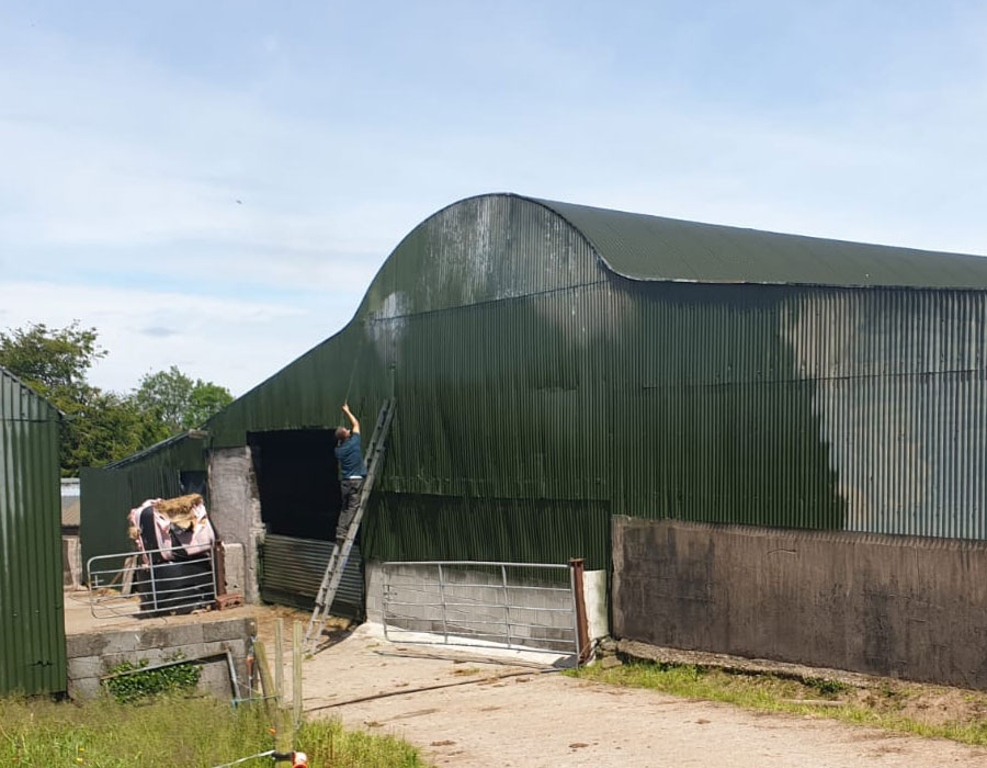 farm shed painting